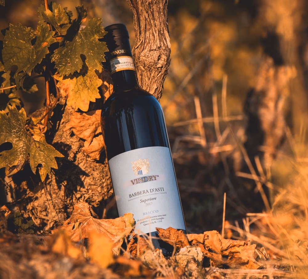 Vino Piemonte nettside og vinprofil